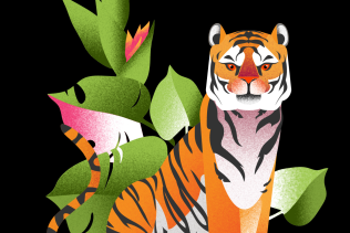digital illustration of a Bengel tiger
