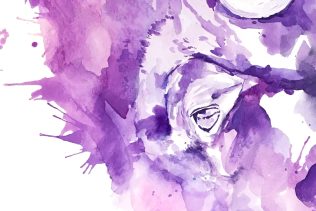 Watercolor splatter painting of a purple buffalo / bison